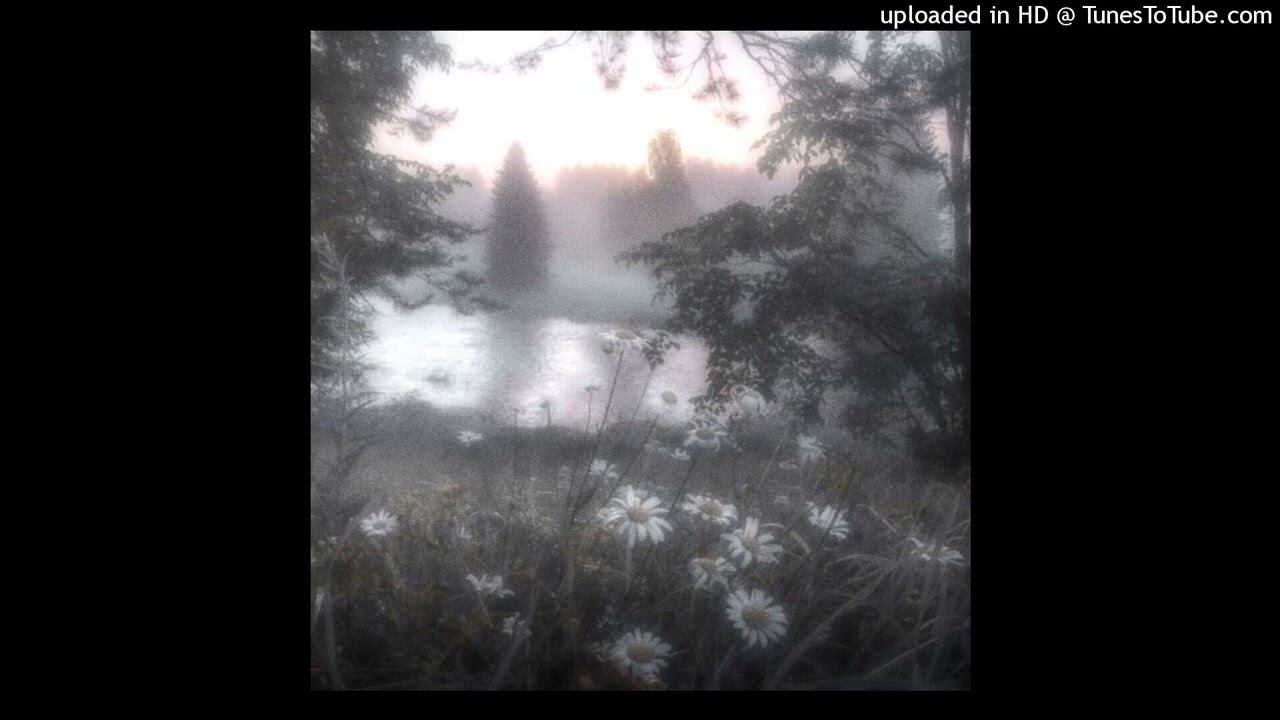 [FREE] ambient x izaya tiji type beat - What you mean (@kocimietkaa1)