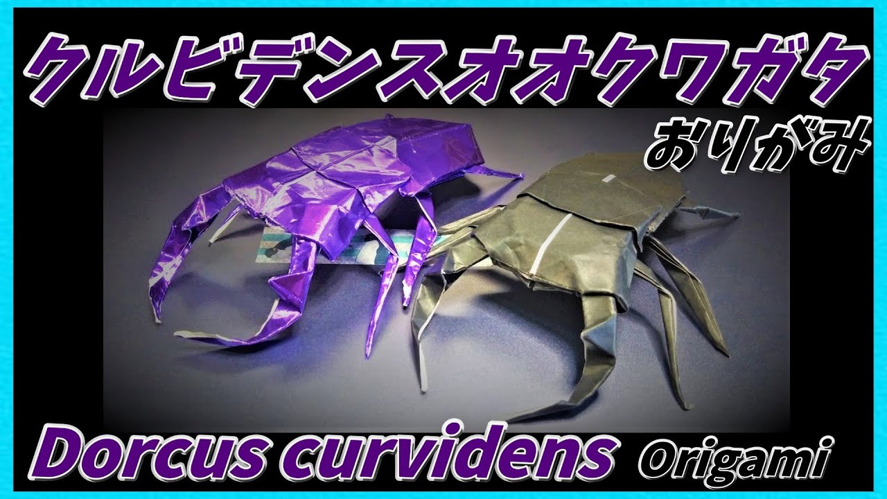 クルビデンスオオクワガタおりがみ(Dorcus curvidens Origami)多库斯曲线多库斯希望折纸(쿠루비덴스 오 오크와 가타 종이 접기)Origami tupai Dorcus