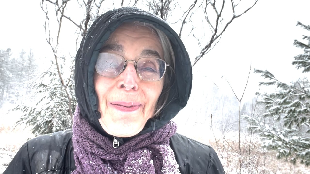 Overview of Vol. 38, No. 1