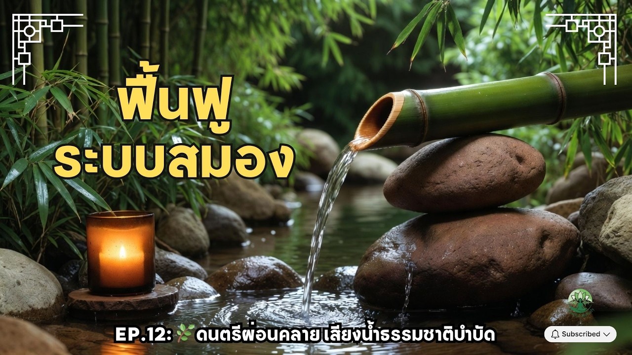 🌿EP.12  : Nature Piano Therapy 🌿ฟื้นฟูระบบสมอง  เสียงน้ำธรรมชาติบำบัด บำบัดสมอง