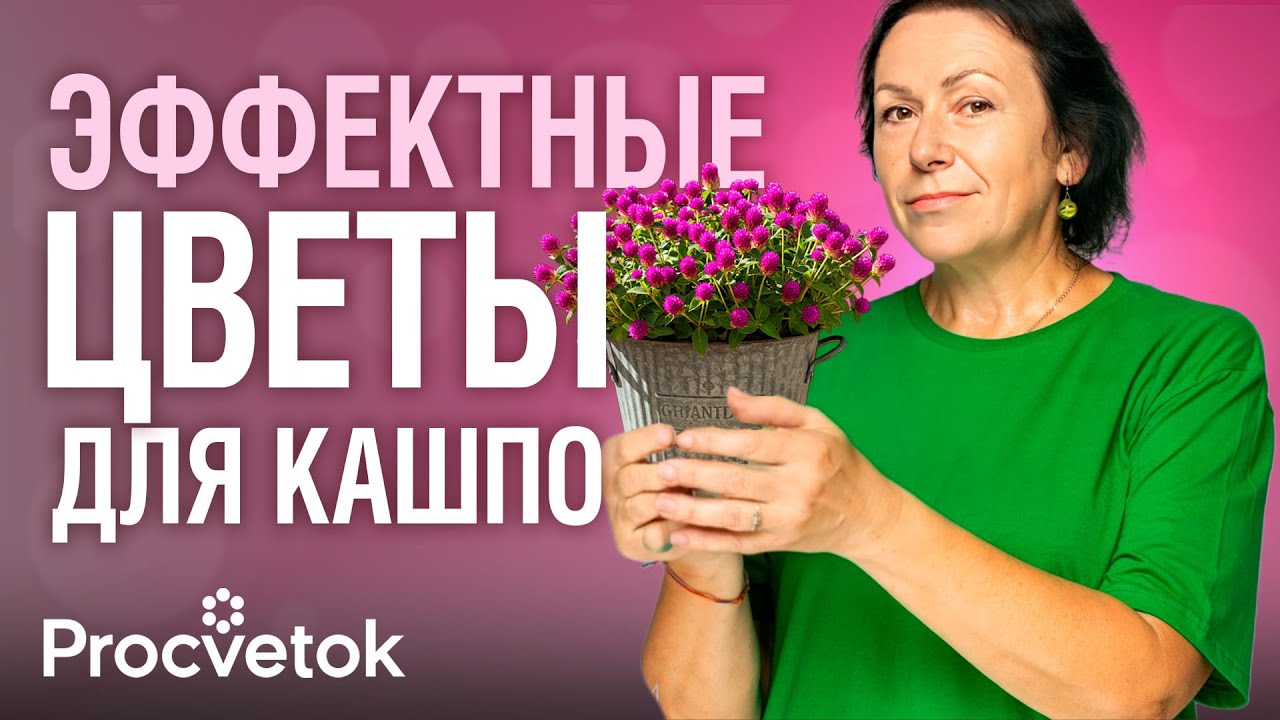 ШИКАРНЫЕ РАСТЕНИЯ ДЛЯ КАШПО! Каскады цветов и листвы в вашем саду