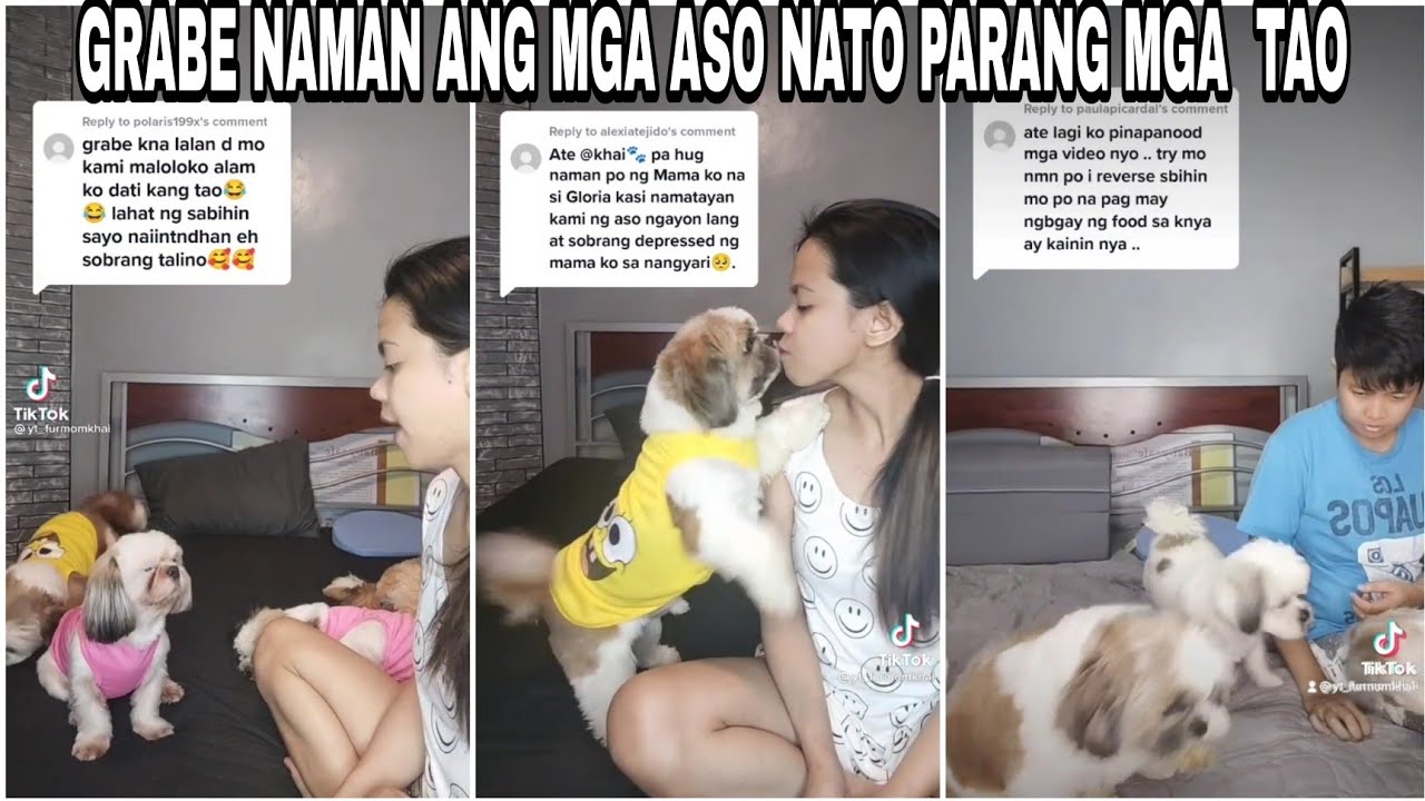 GRABE TONG MGA ASO NA TO PARANG MGA TAO | TRENDING CHIKA