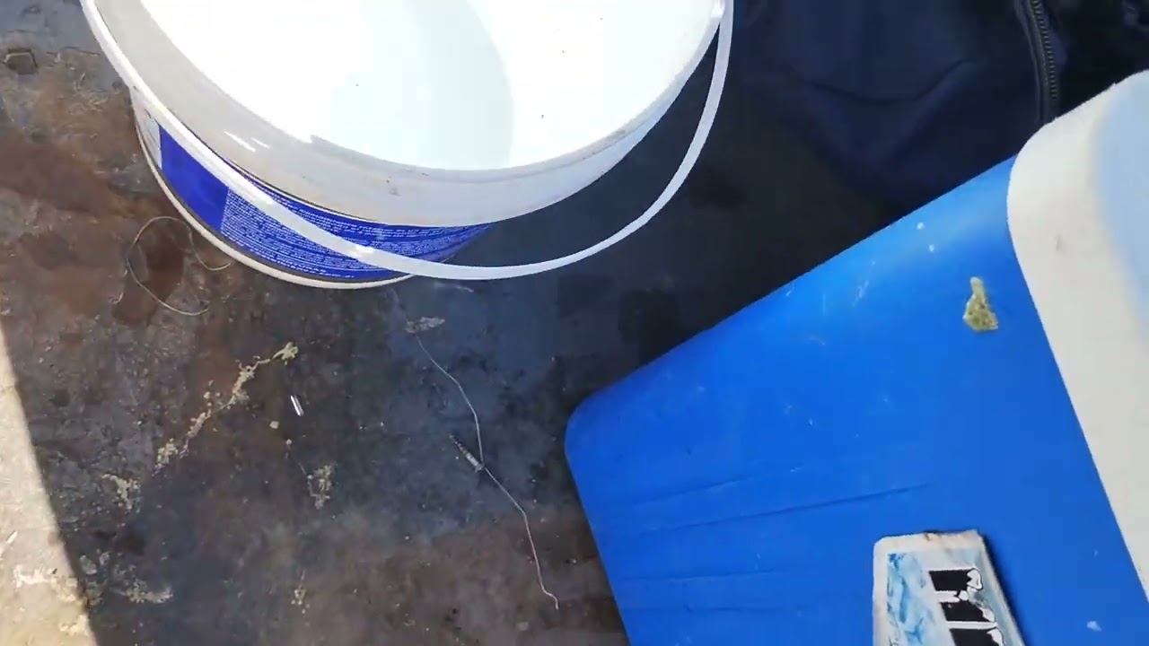 #pesca y #devoluci&oacute;n de bagre en laguna la salada #mira Pesca antes de dormir #bendiciones