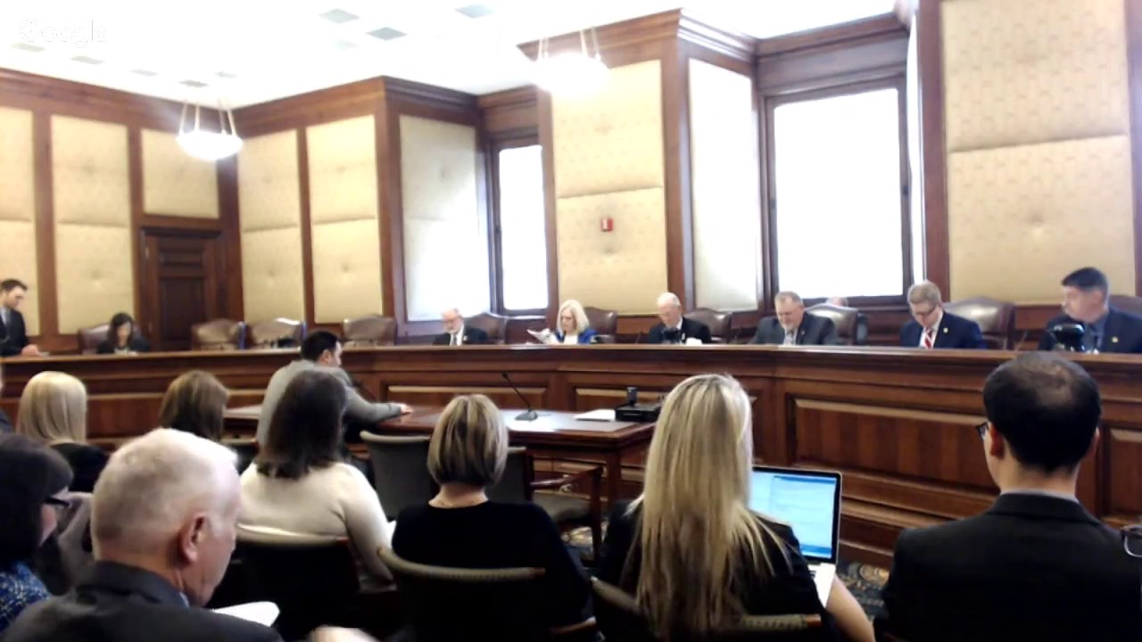 2/15/17 Senate Government Reform Hearing