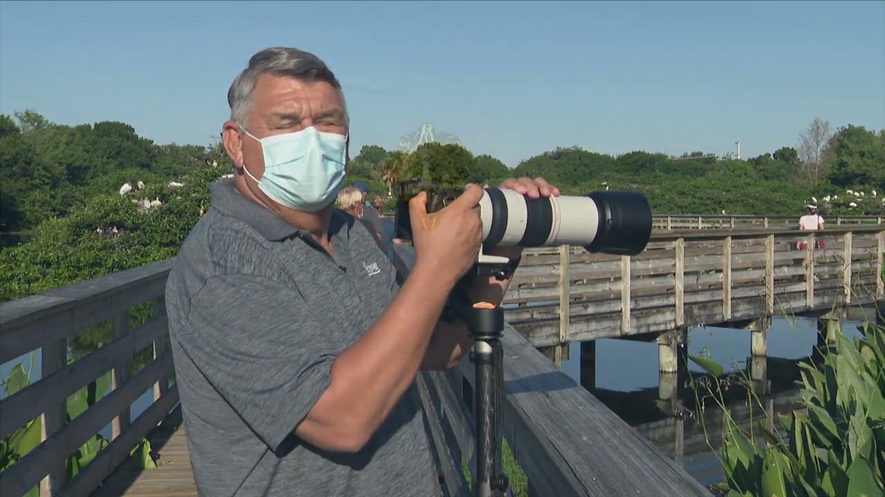Wakodahatchee Wetlands is profiled in Delray Beach, Florida