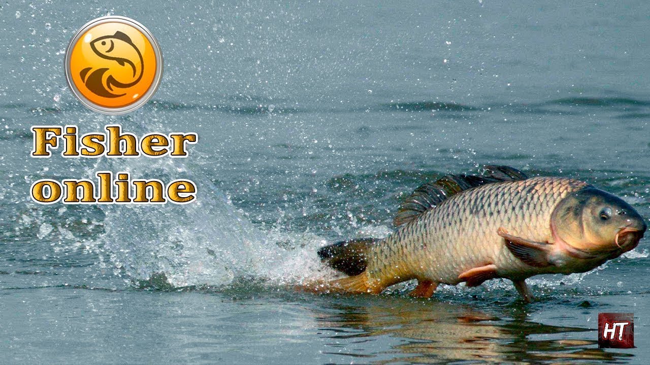 Fisher Online