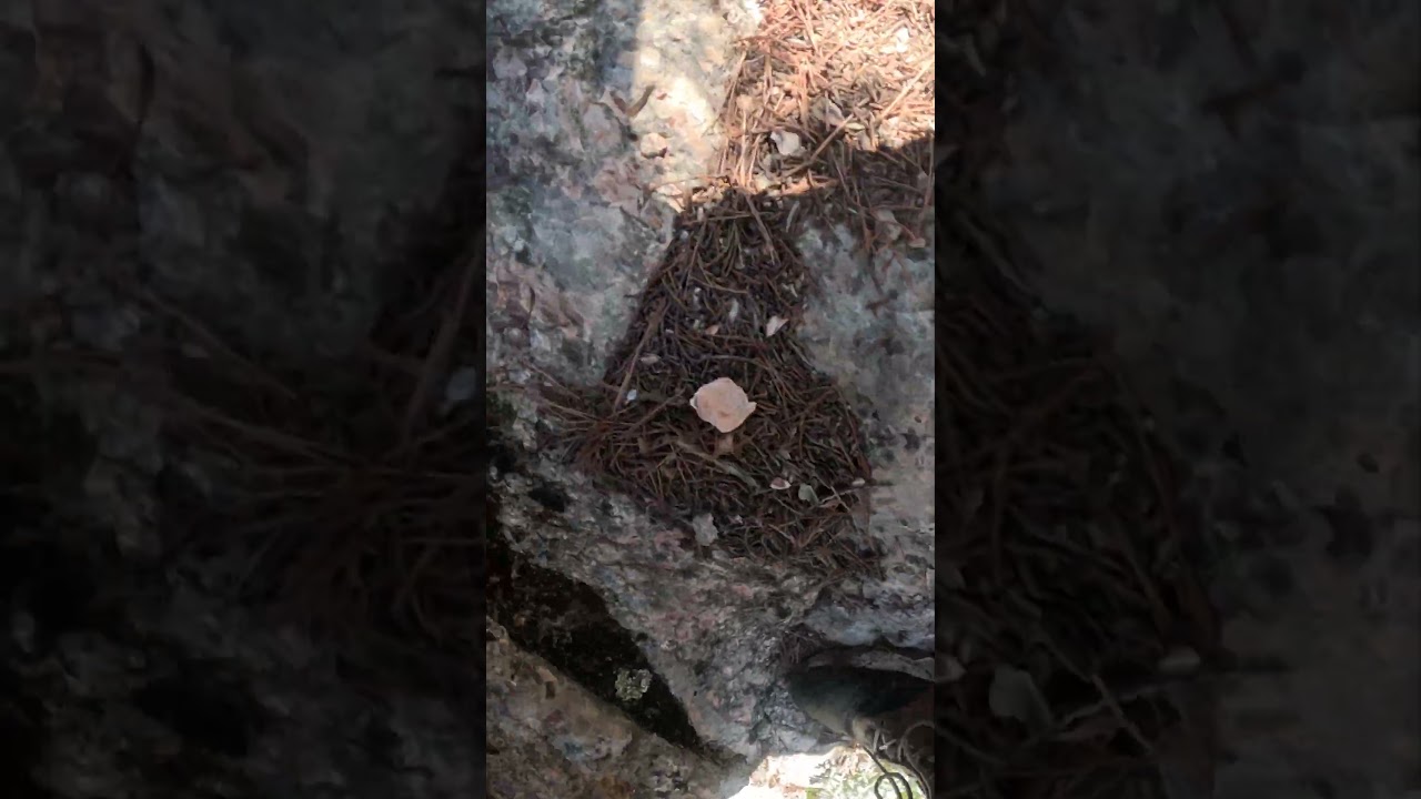 Climbing up the steepest rocks of BARRAGE DE BIMONT clip 3 Southern France Europe (8/3/2025) 