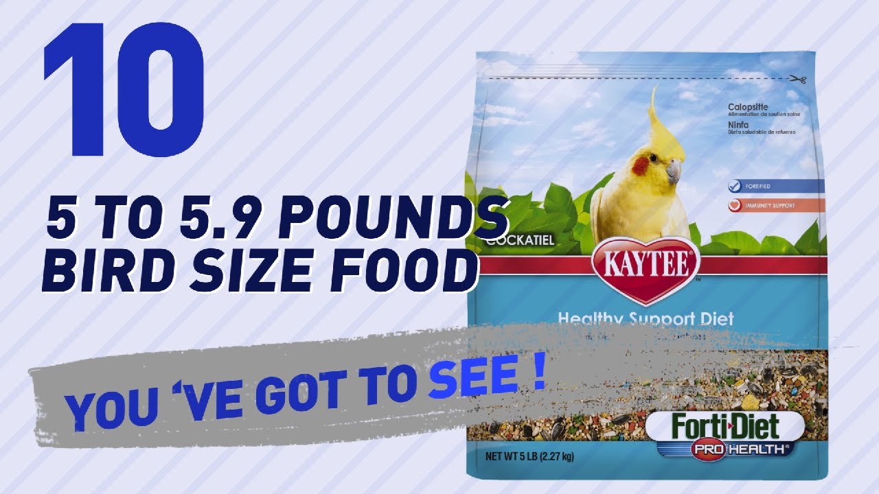 Top 10 5 To 5.9 Pounds Bird Size Food // Birds Lover Channel Presents: