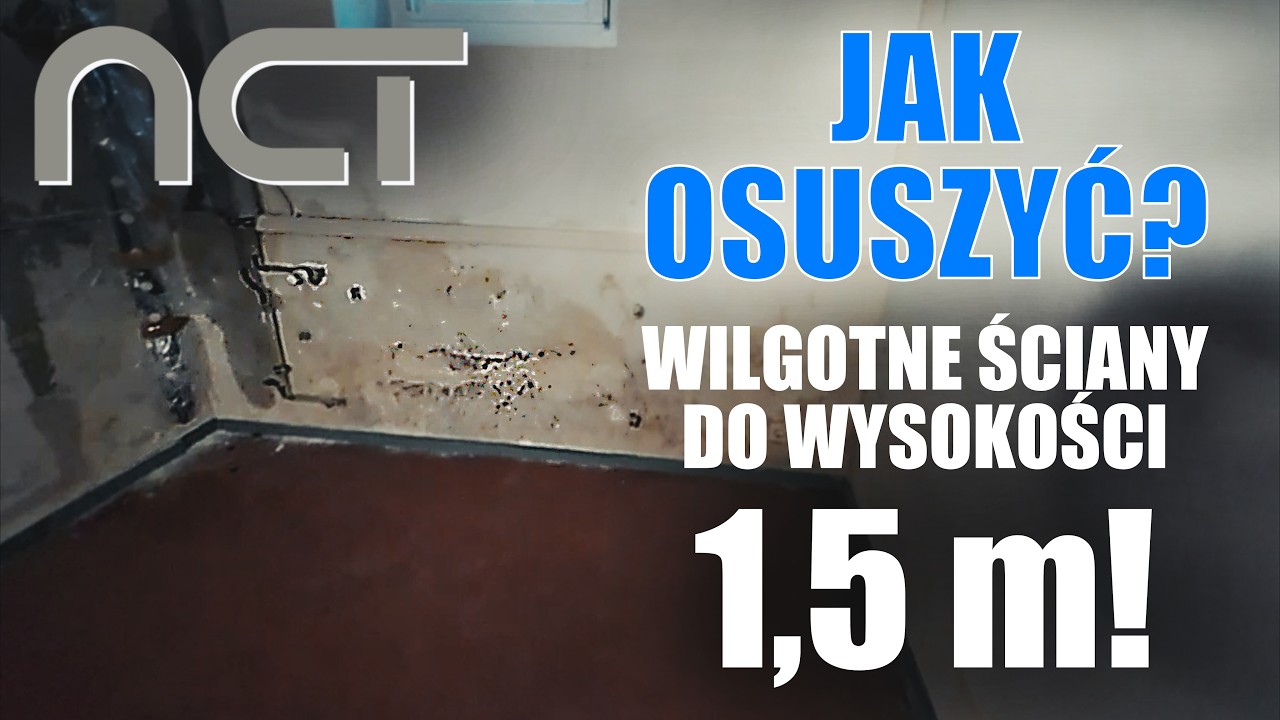 Remont podpiwniczenia dotkniętego wilgocią z podciągania kapilarnego