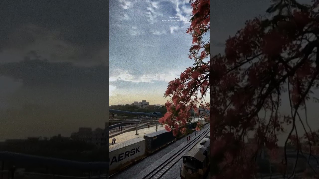 Zalimaa song WhatsApp status video lyrics 