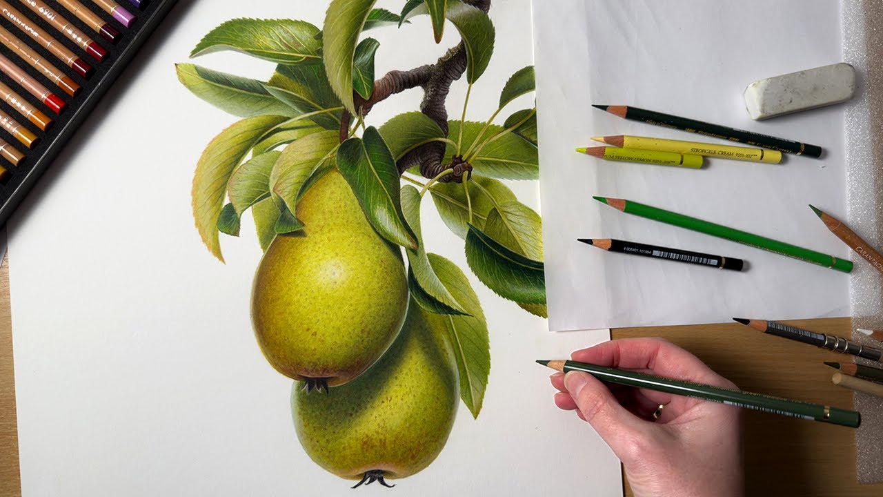 Drawing a Pear Branch In Colored Pencil | Botanical Drawing