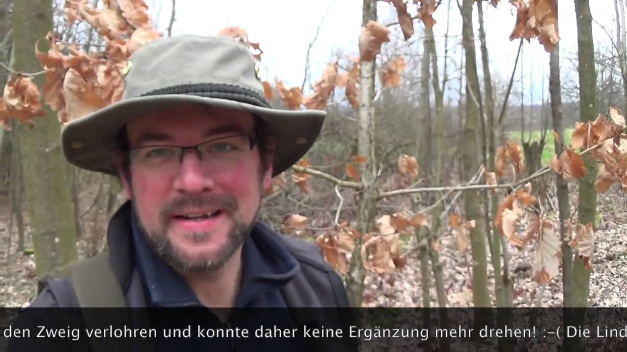 Laubb&auml;ume im Winter ☆ Waldspaziergang & Baumkunde