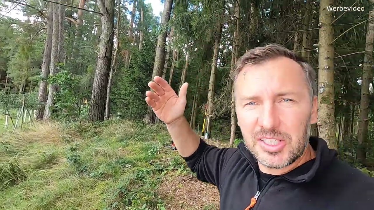 🍁Roteichen säen anstatt pflanzen | zum Nulltarif