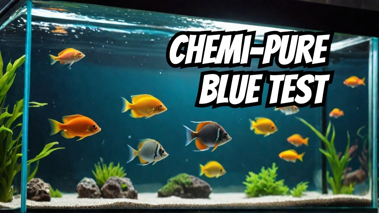 Chemi-pure Blue, Does It Really Work?