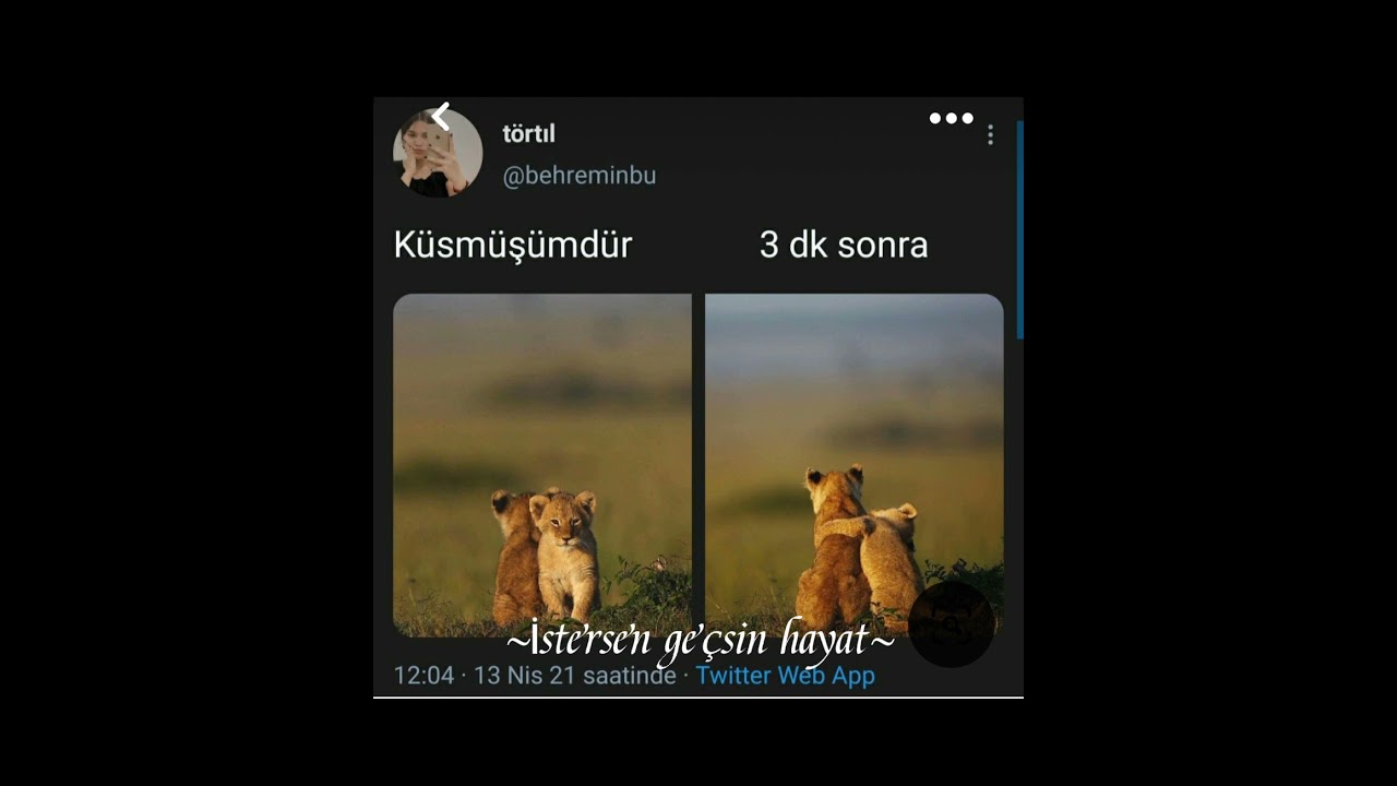 Akımmmm