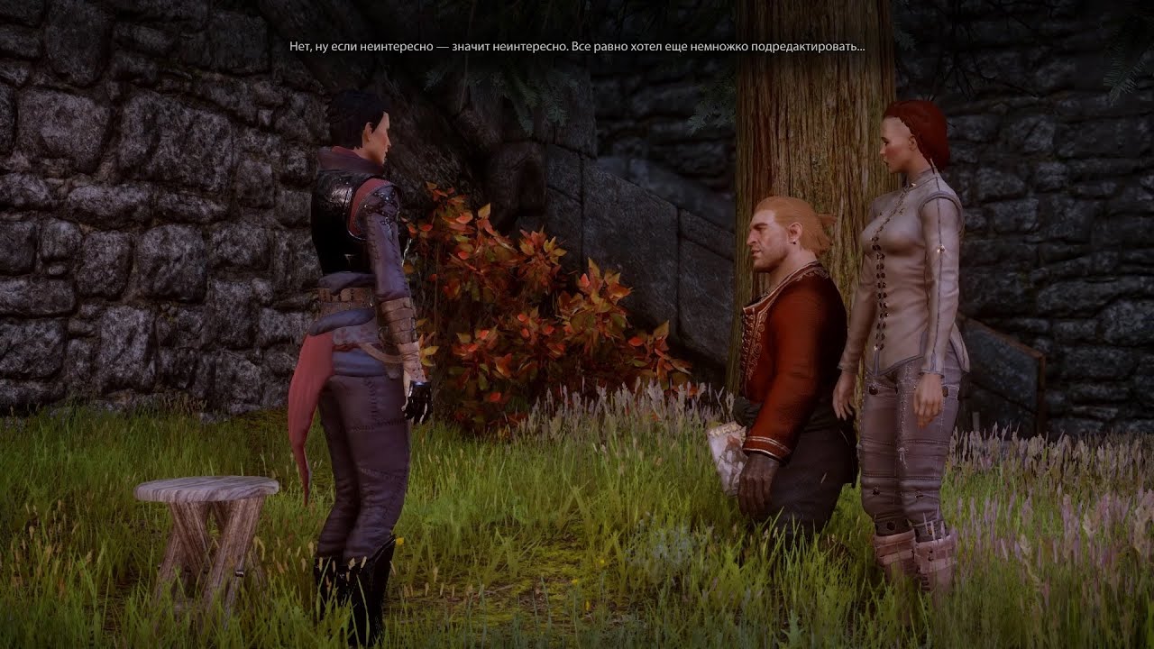 Dragon Age: Inquisition — Кассандра читает книгу Варрика