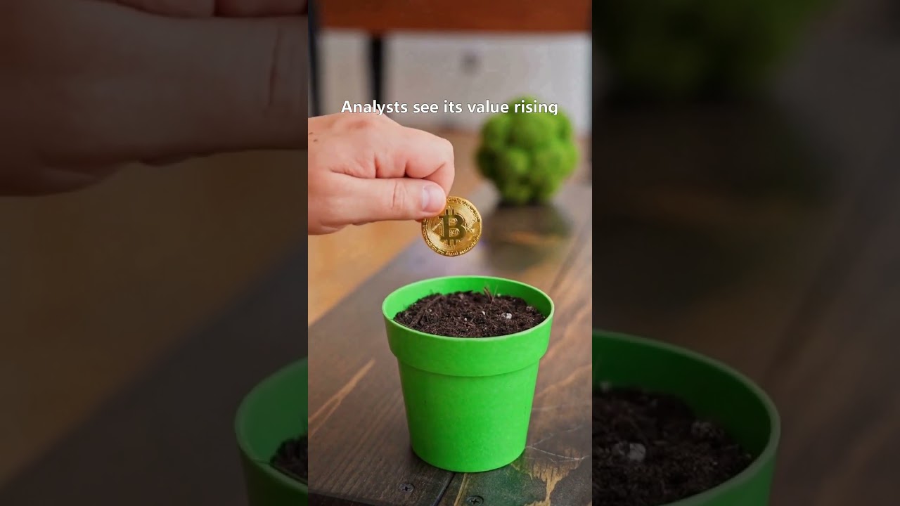 BTC Daily NEWS｜Will Bitcoin Rise?...｜