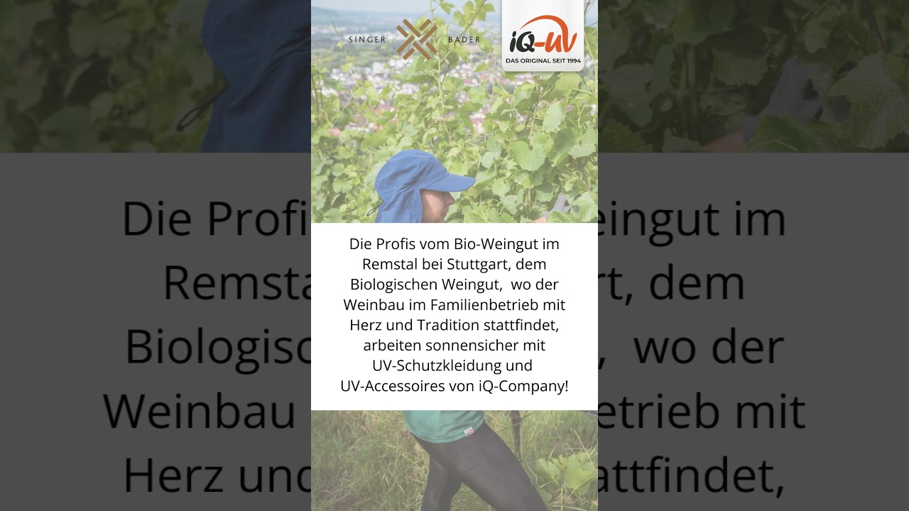 Die Profis vom Bio-Weingut @weinkorbvinothek im Remstal tragen unsere iQ UV-Schutzkleidung
