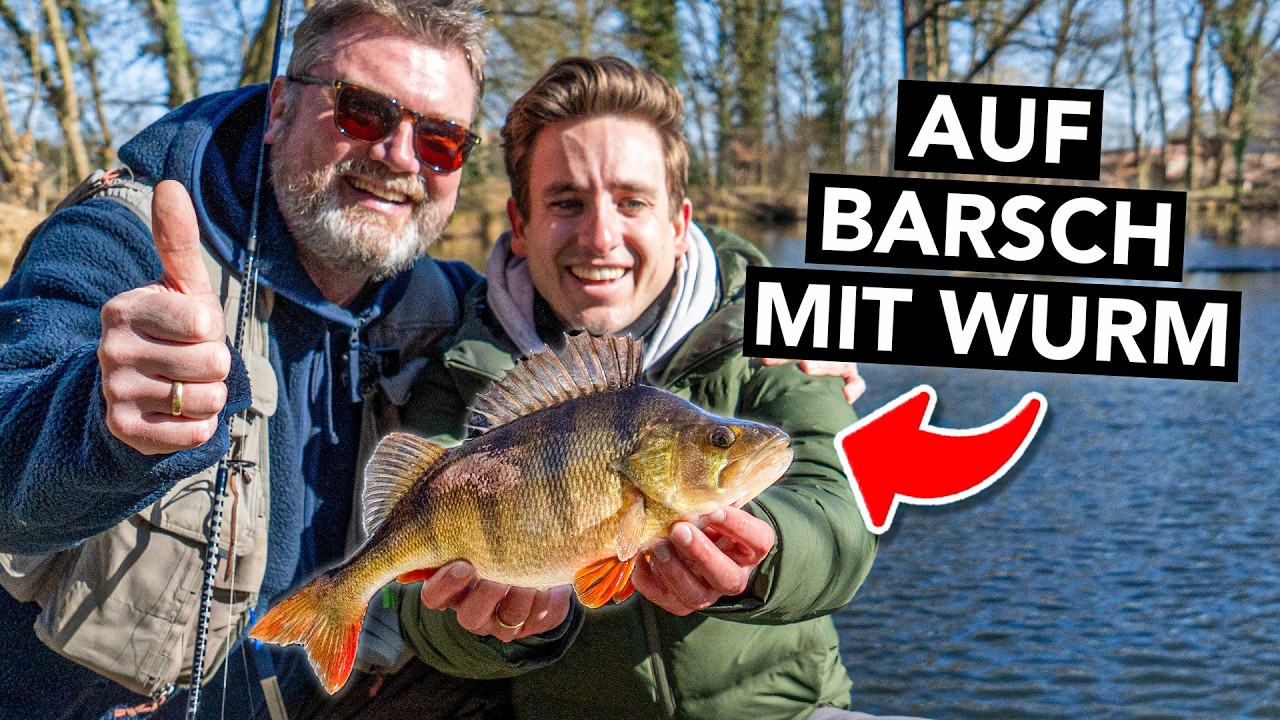 Dicker Barsch auf Wurm? 🎣 Barschangeln mit Dropshot vs. Carolina Rig
