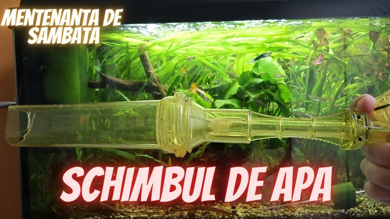 CUM SCHIMBAM APA LA ACVARIU?