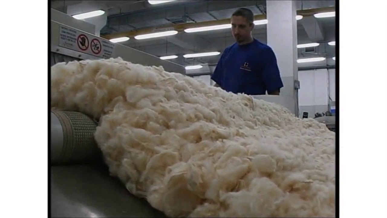 Jak produkuje się dywany Agnella Brintons poleca sklep A.Witek