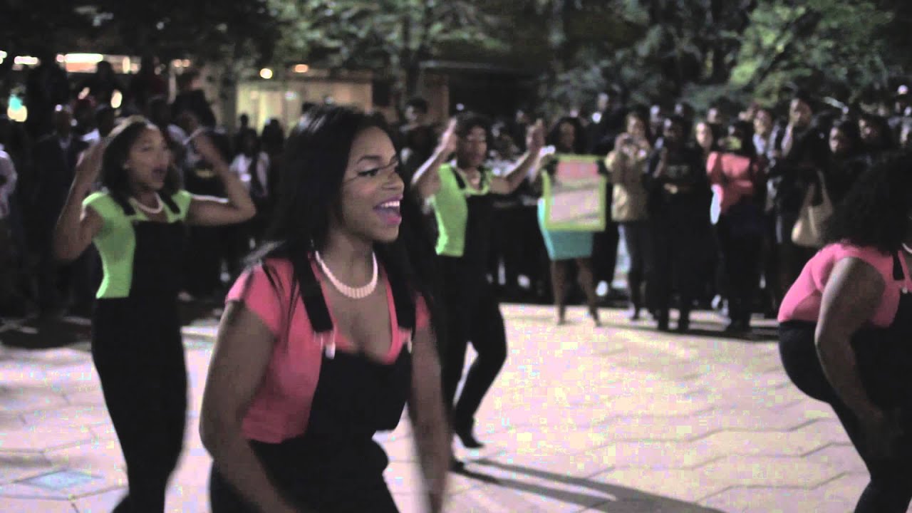 2014 Temple University Yard Show - Delta Mu Chapter of Alpha Kappa Alpha Sorority, Incorporated