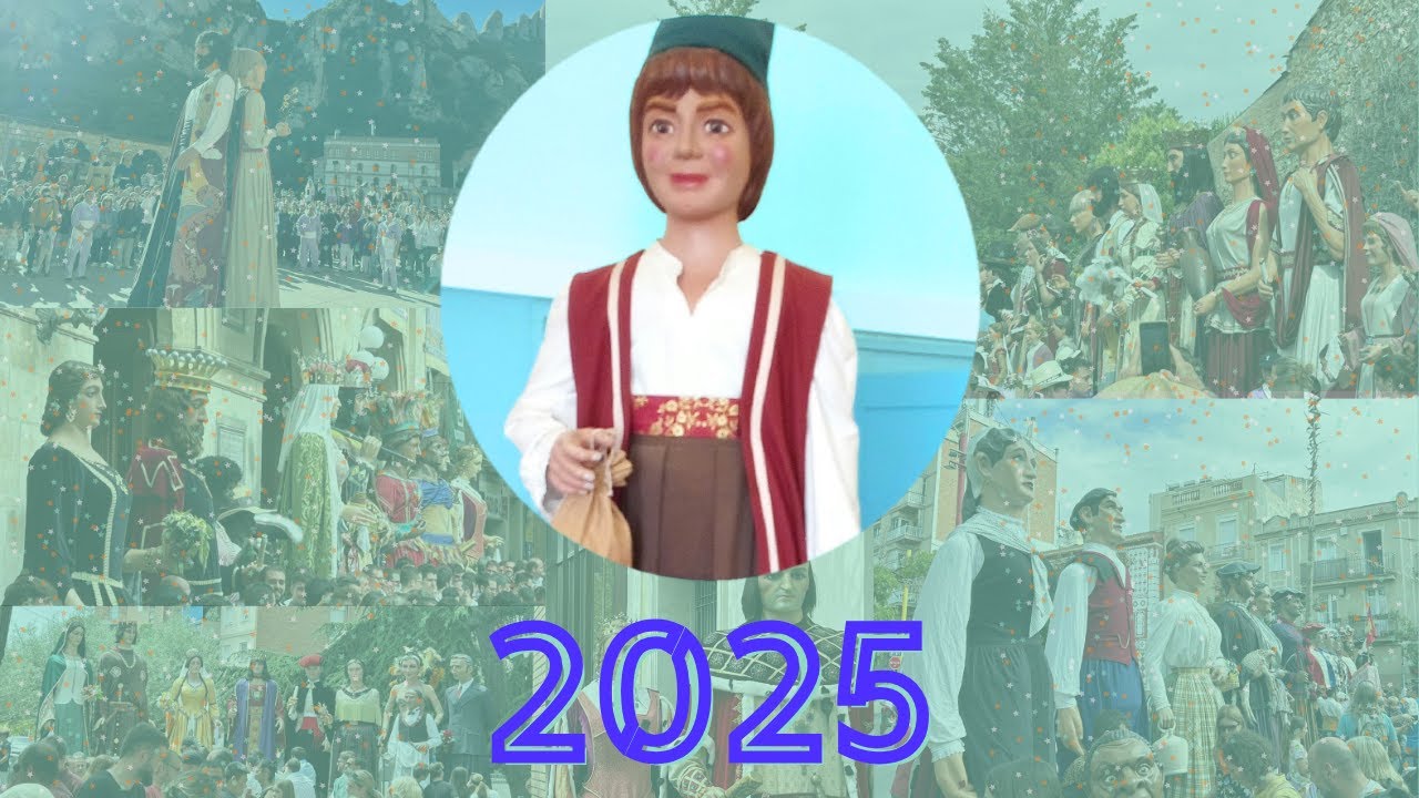 Resum 2025