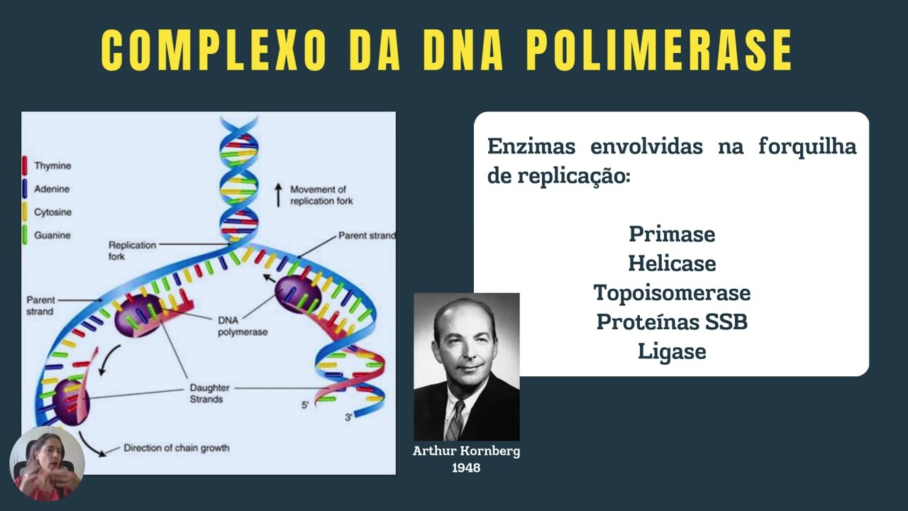 Aula 8   Fluxo da informação em sistemas biológicos