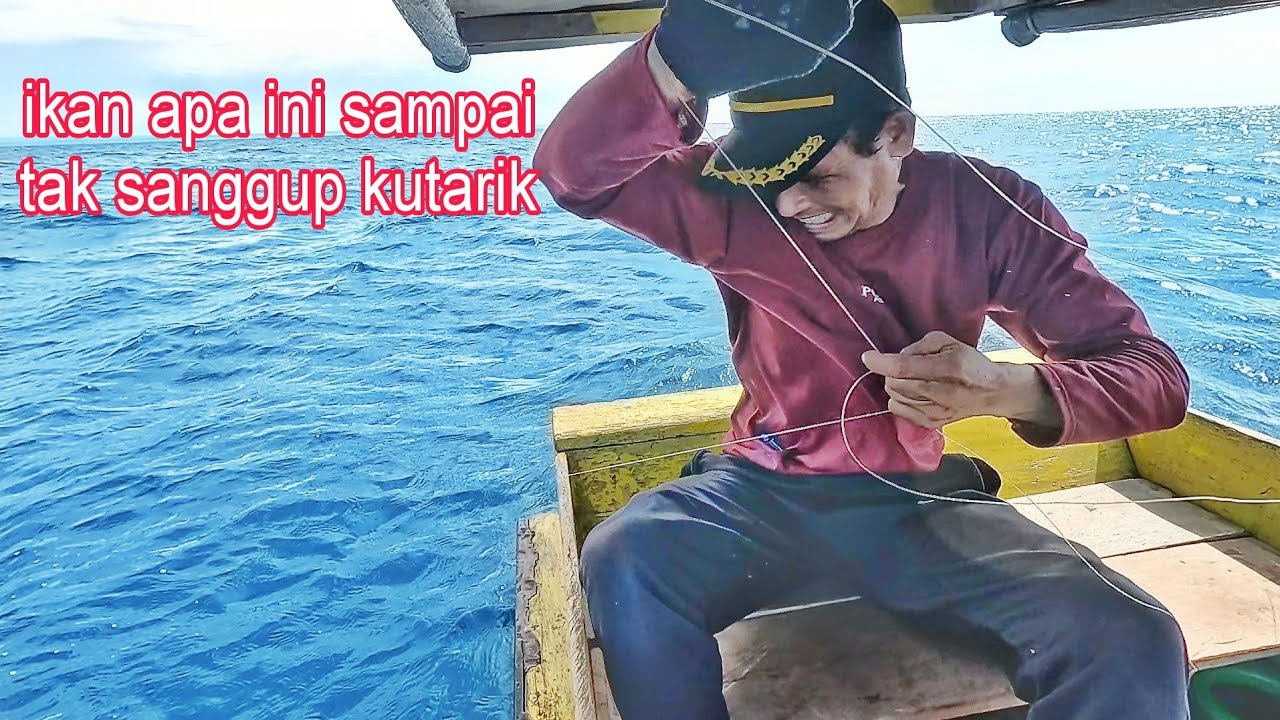 kukira ikan kecil yg makan umpan ku ternyata ikanya besar sampai tak sanggup kutarik