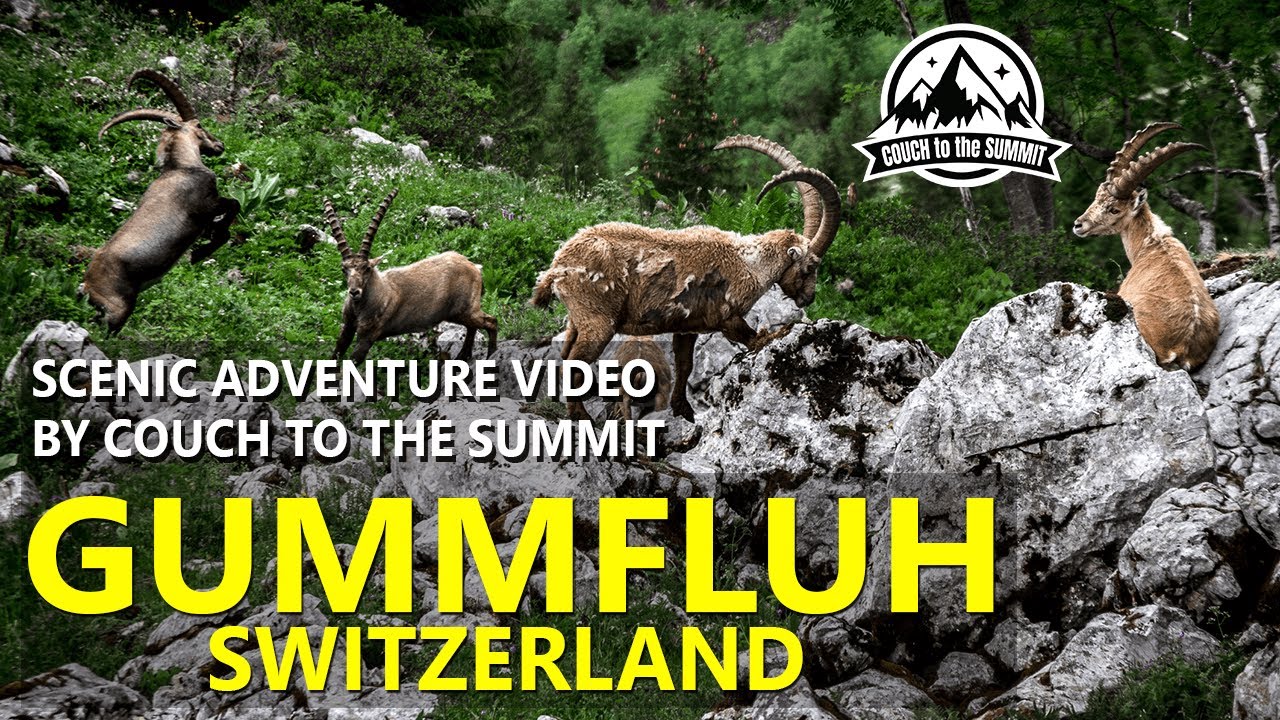 GUMMFLUH SWITZERLAND AND IBEX FIGHTING | Scenery Based Adventure Video
