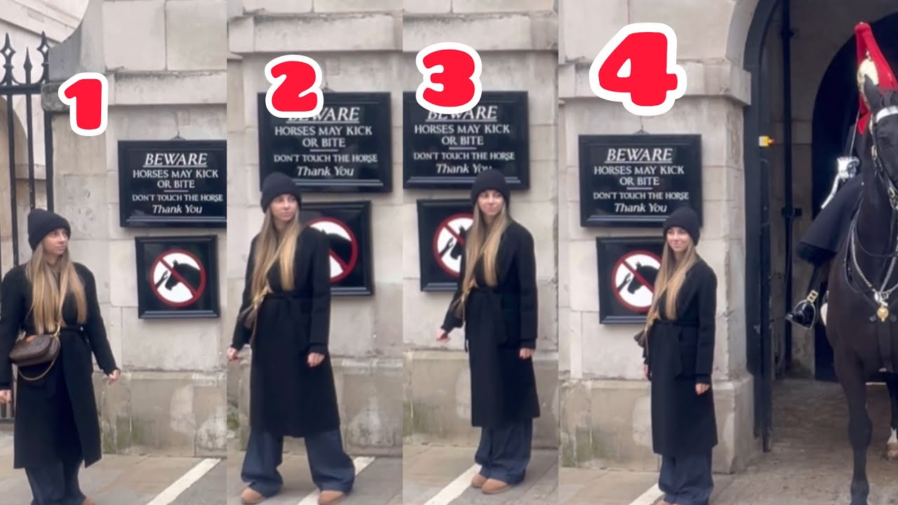 “STUPID “ On the contrary, she is very smart. She tried the guard's reaction step by step