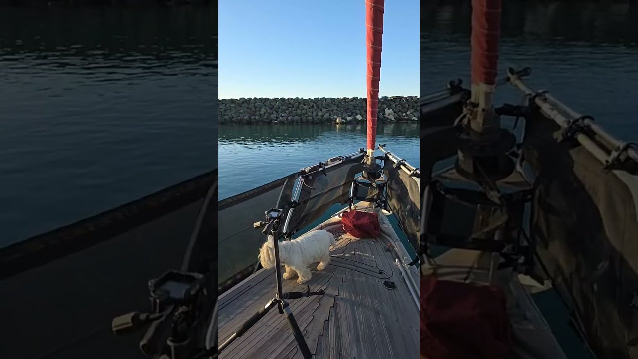 Хорошее #утро для выхода в #море и общения с друзьями ⛵ Приходите на #стрим!