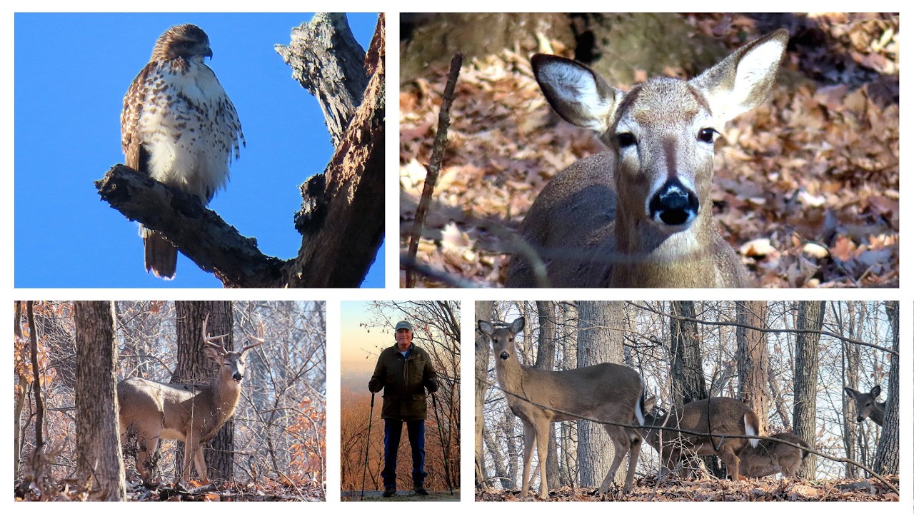 Hiking at Iroquois Park on a spectacular Friday morning, February 13, 2026,