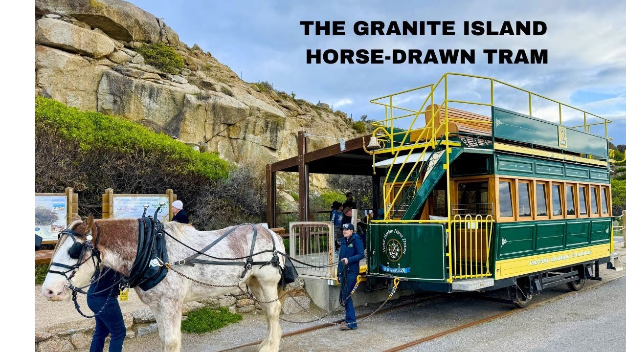 The Granite Island Horse-Drawn Tram