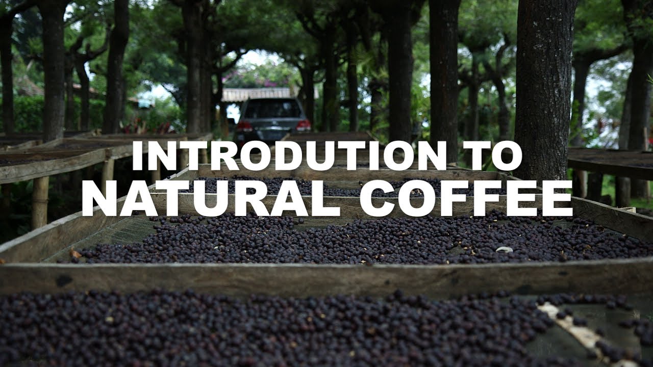 Natural Coffee processing