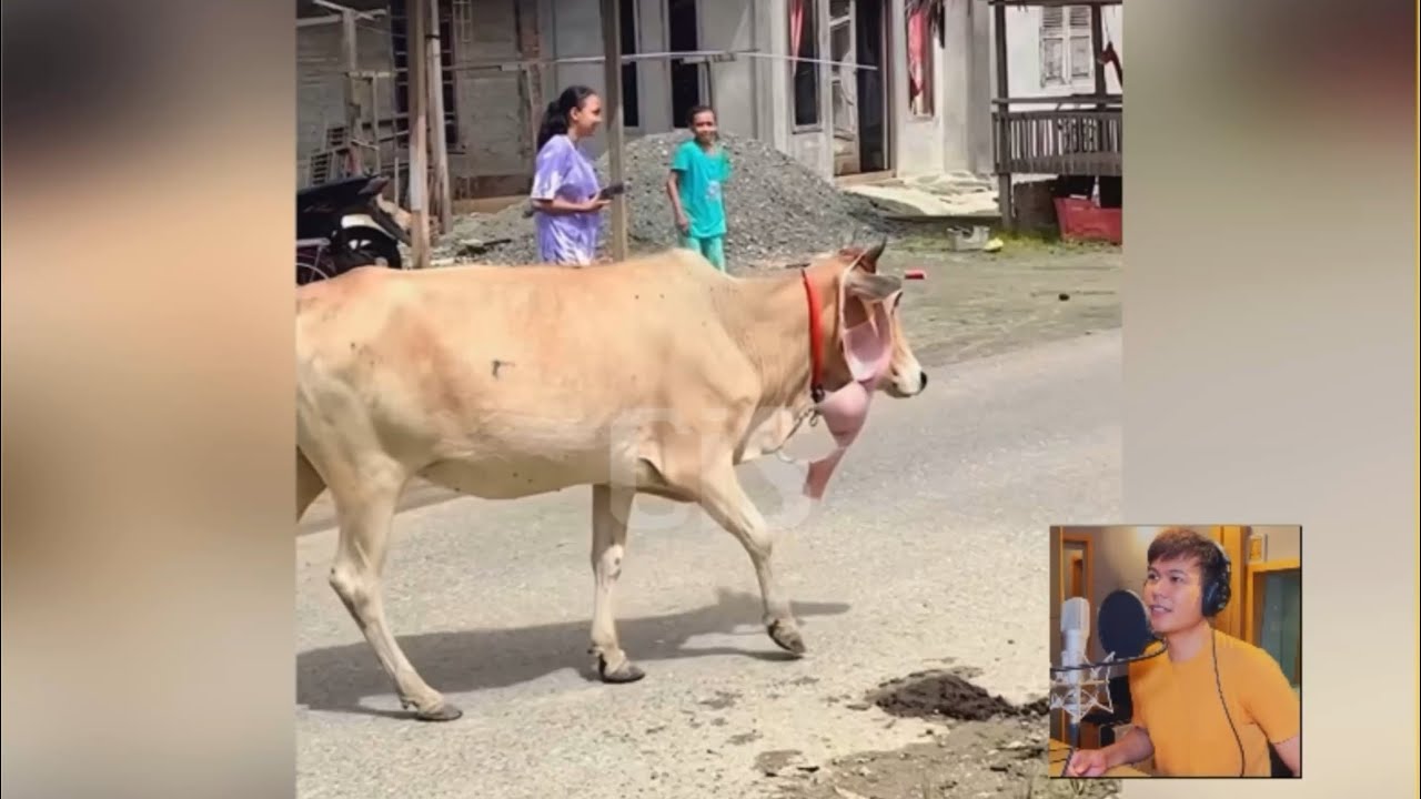 ချော့