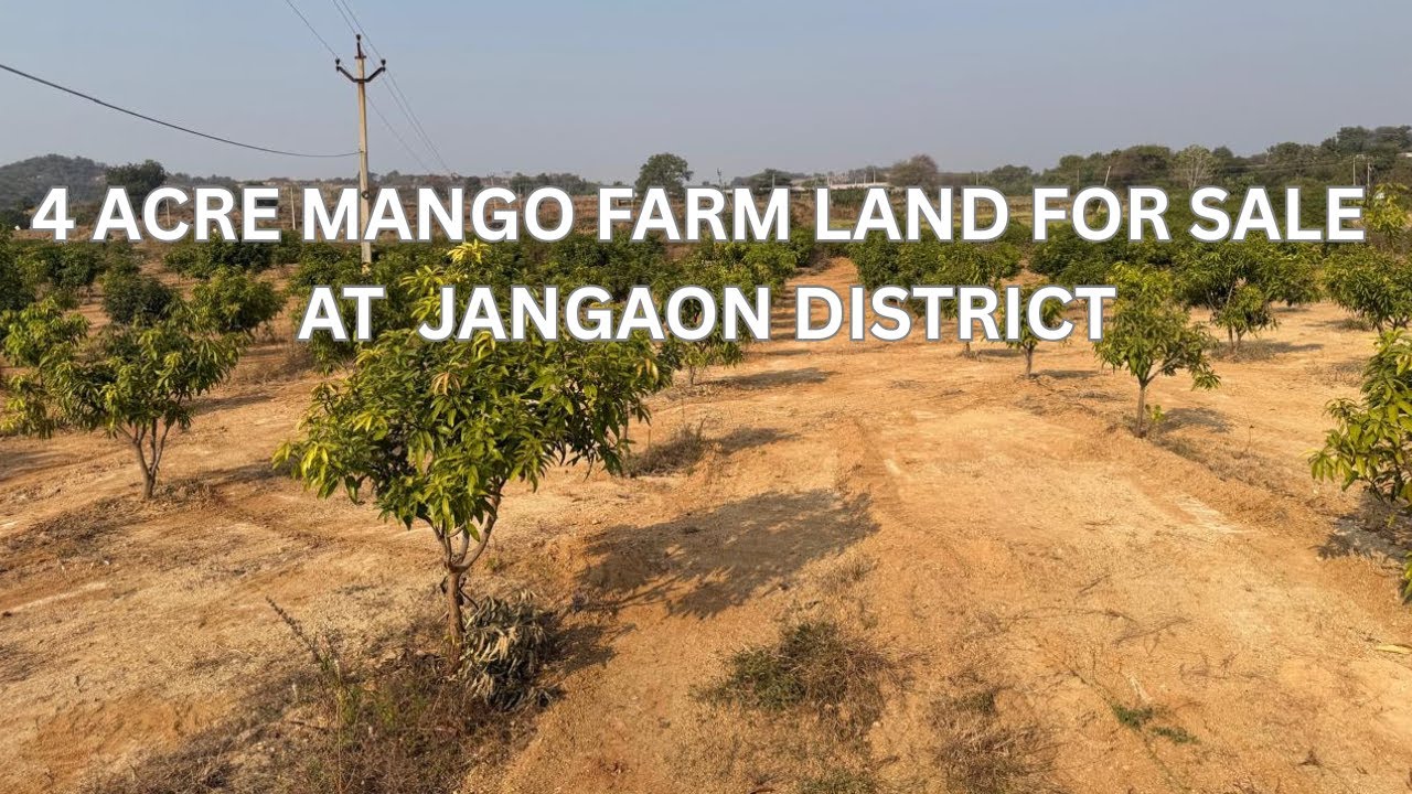 4 Acre Mango Farm Land for Sale Near Jangaon | Bore, Guest House | Best Investment | Near Hyderabad