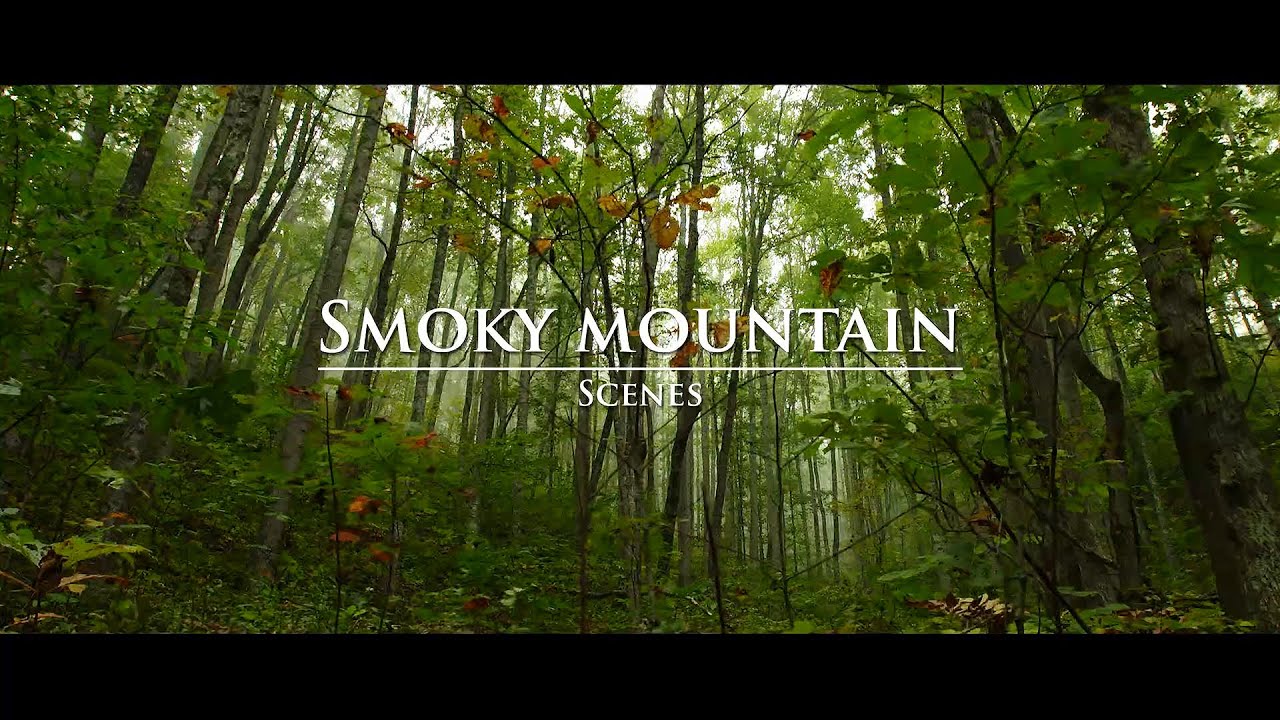 Smoky Mountain Scenes