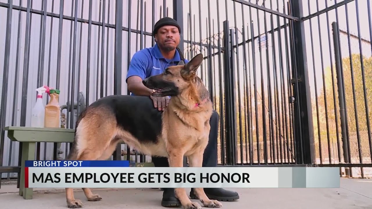 Memphis Animal Control Officer receives national award