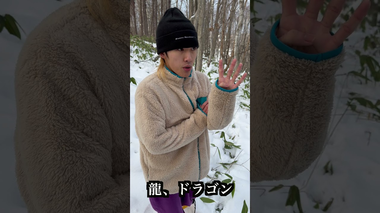 【未確認生物】火を噴く幻のドラゴン？！ヒノカミドラゴンがカッコ良すぎる！！！
