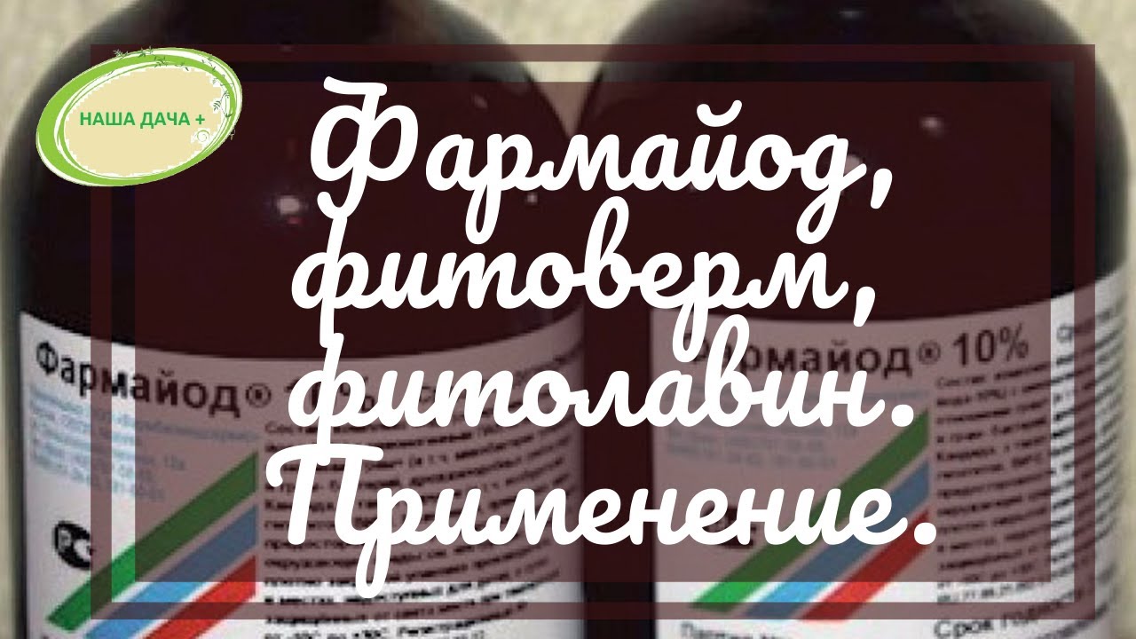Правильное применение фитоверма, фармайода, фитолавина для защиты от болезней и вредителей.