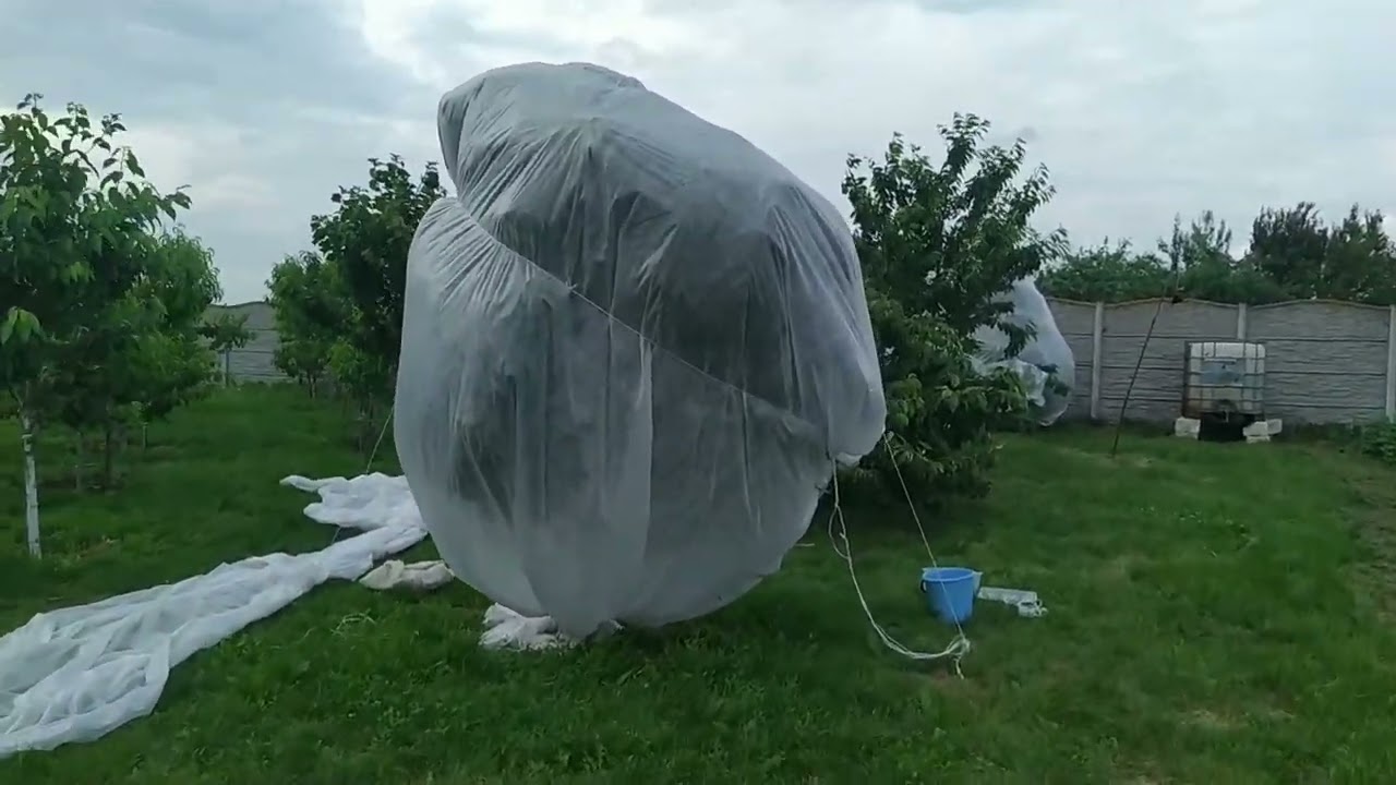 17 июня 2024 г.