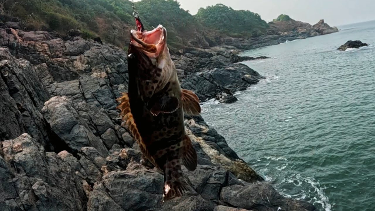 Tropical Cliff fishing for whatever we can catch 