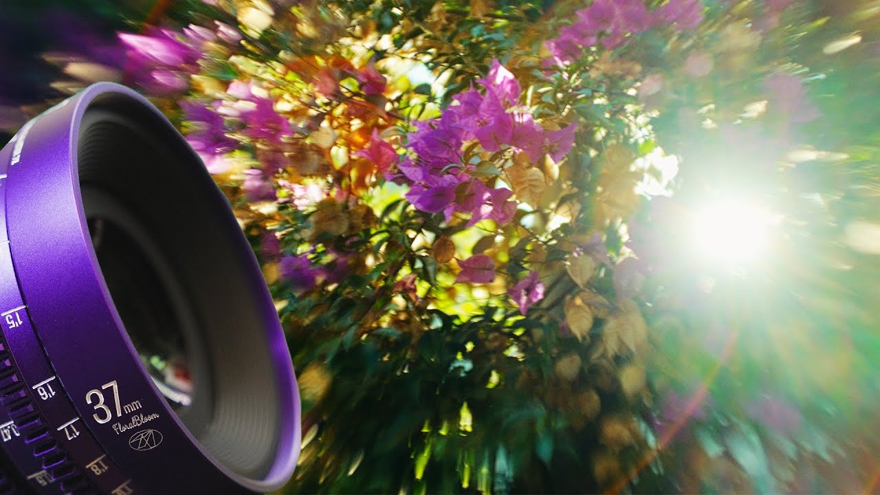 Кинообъектив со спецэффектами за 400 долларов &mdash; 7Artisans FloralBloom MF 37mm T2.9