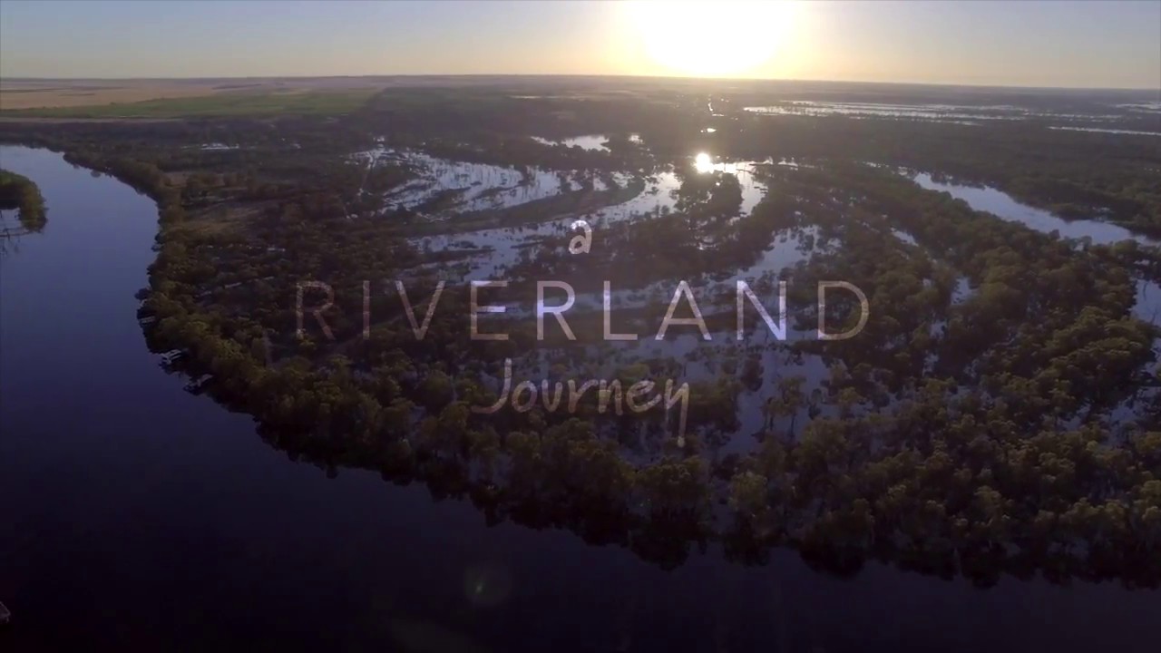 Murray River Bird aerial video - Riverland, South Australia - Discover Murray River