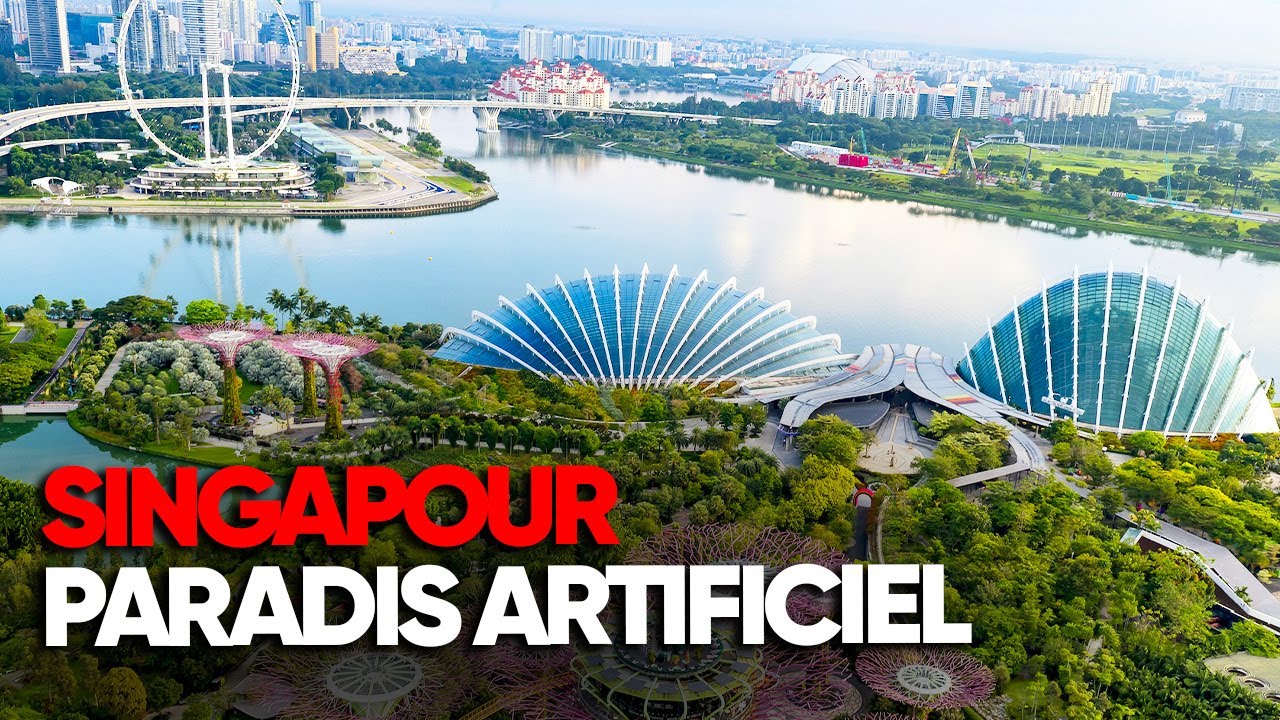Singapour, voyage dans un paradis artificiel : entre luxe et inégalités - Enquête AMP