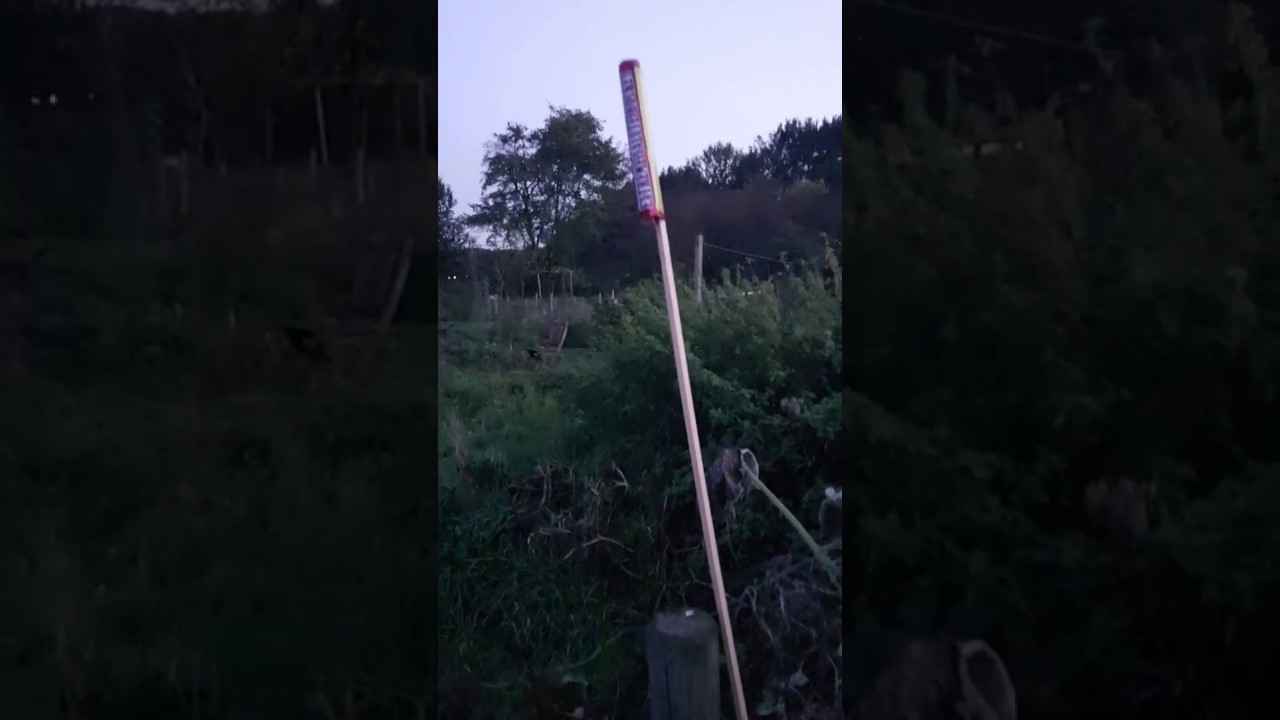 Extreme Salute Rocket batch 2019