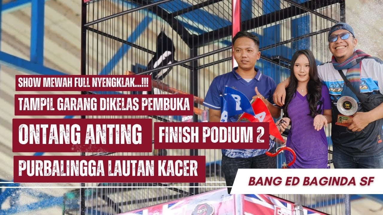 KEMBALI KE TOP PERFORM KACER ONTANG ANTING TAMPIL GARANG DI PURBALINGGA LAUTAN KACER ❗❗❗