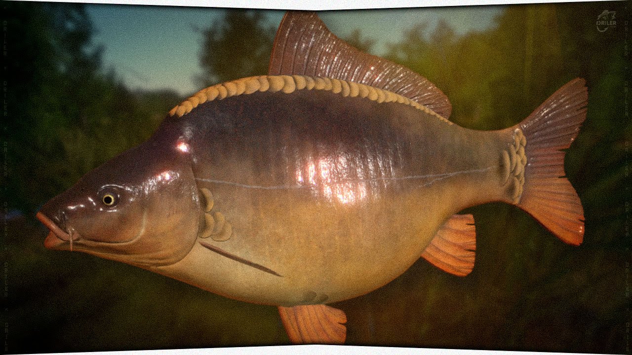 Фарм на Медном озере без ПВА • Проверка точки