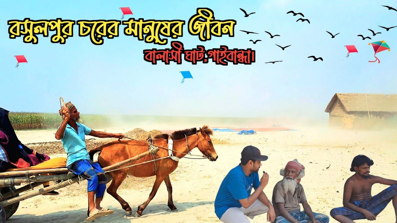 রসুলপুর চরের মানুষের ঘরবাড়ী এবং জীবনযাপন || গাইবান্ধা || rural char || village lifestyles